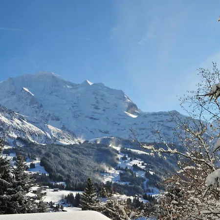 By Interhome Wengen